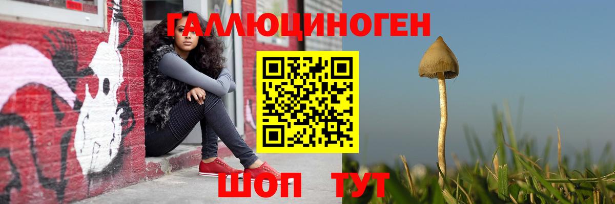Псилоцибиновые грибы ЛСД  Вход с VPN  Соль-Илецк 